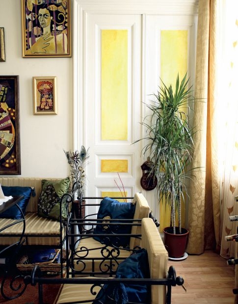 plante de apartament care purifică aerul (2)