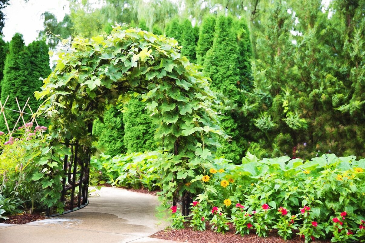 Cum alegi copertina si pergola din gradina