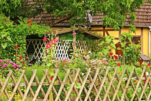 Culorile din gradina iti influenteaza dispozitia