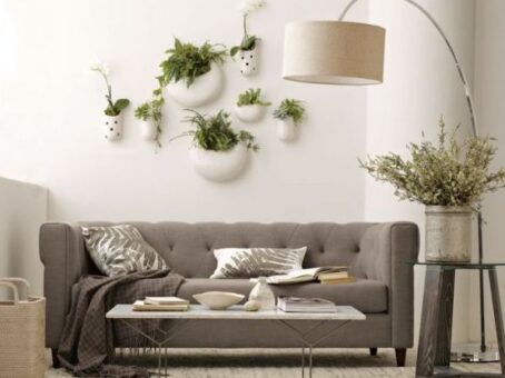 Plante agatate in casa