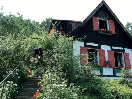 Casa înconjurată de flori superbe. Povesti de primavara