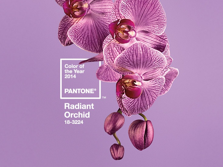 Culoarea anului 2014, Radiant Orchid