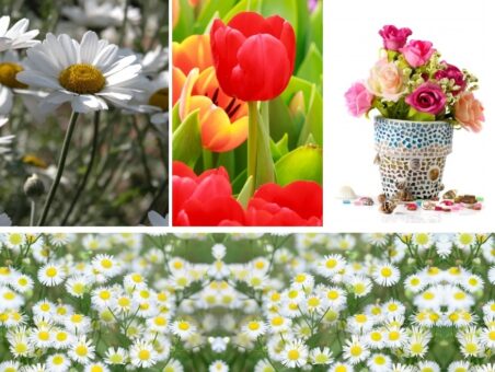 Florile lunii mai. O lista cu provocari