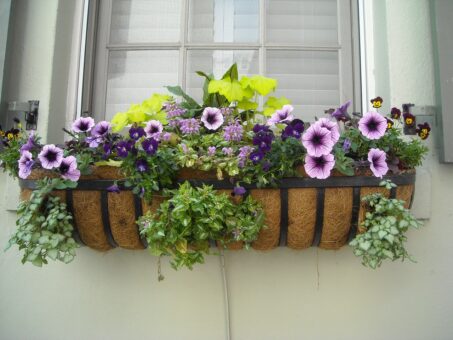 Fereastra cu flori. Cateva sfaturi pentru jardiniere