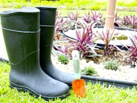 Plantele sanitar, gardienii din gradina