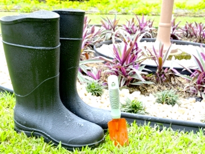 Plantele sanitar, gardienii din gradina