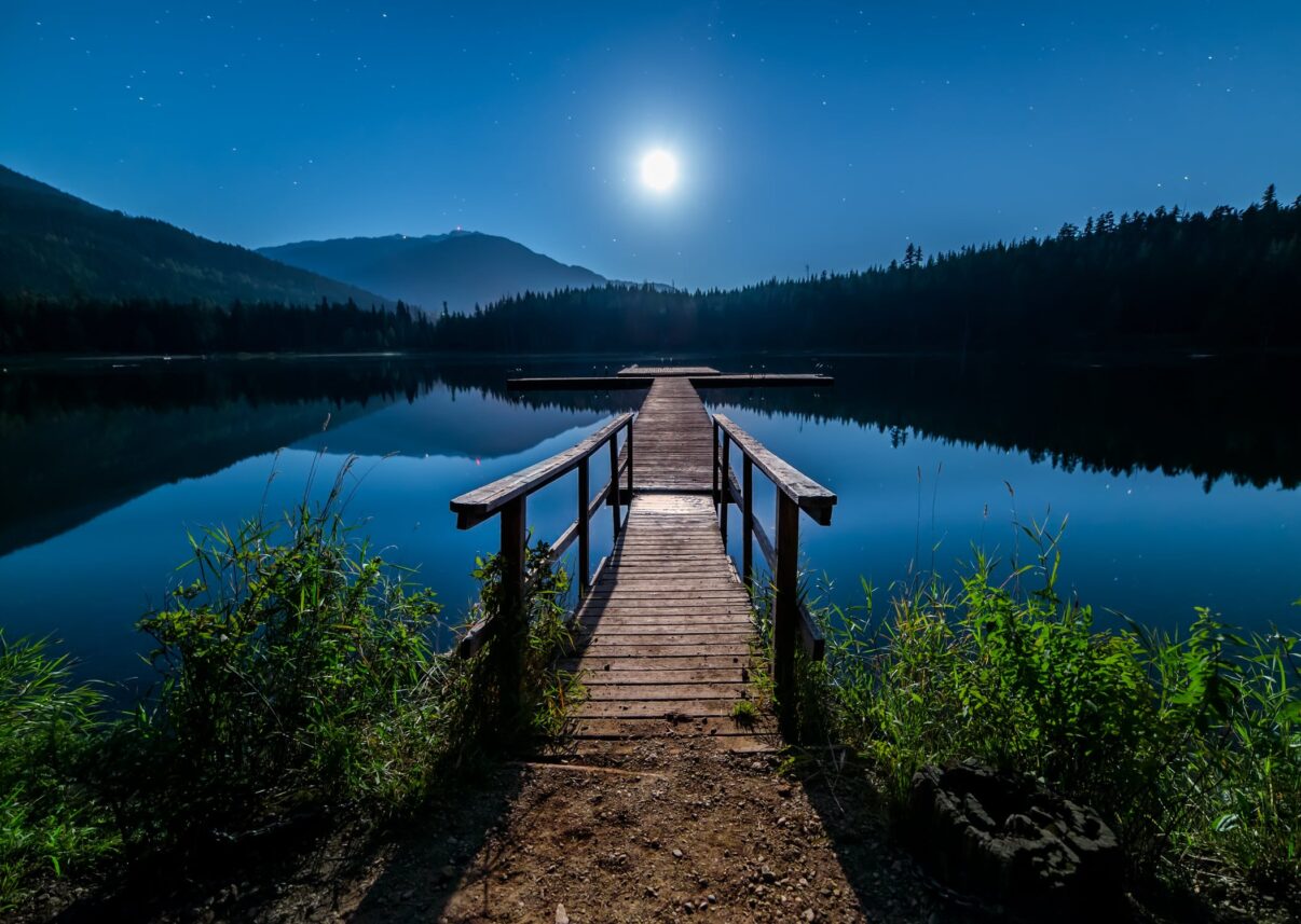 Cum influenteaza luna cresterea plantelor