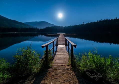 Cum influenteaza luna cresterea plantelor