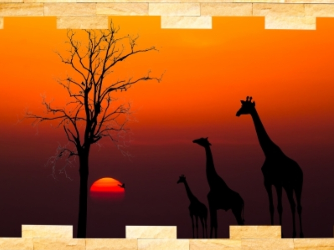 Stickerele decorative, idei pentru fiecare camera