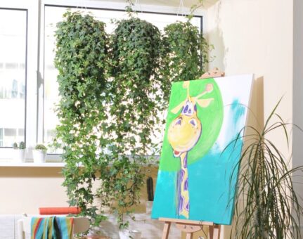 Perdeaua din plante de apartament – un proiect simplu