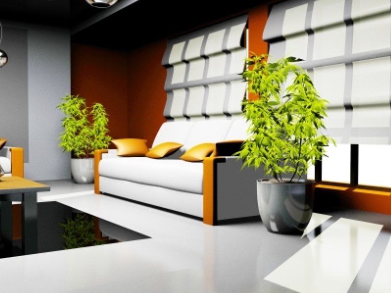Top 10 plante Feng Shui de interior