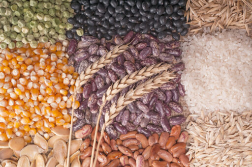 Semințe de legume – un scurt ghid