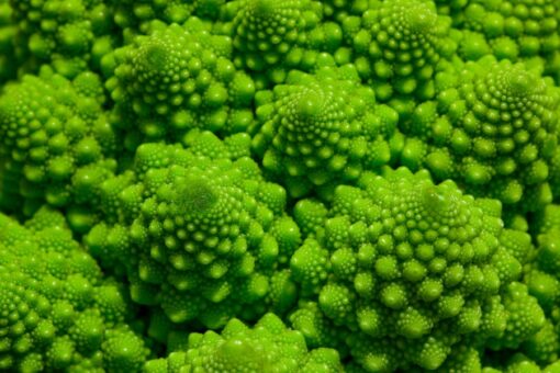 Romanesco, leguma extraterestră