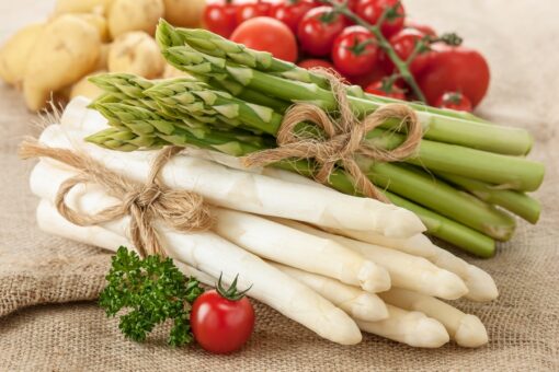 Sparanghelul, o specie comestibilă de asparagus