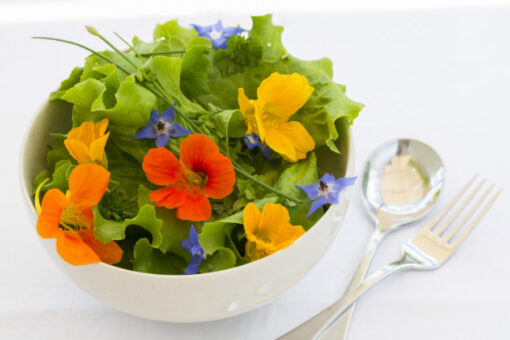 Reţete cu flori, delicii în bucătărie