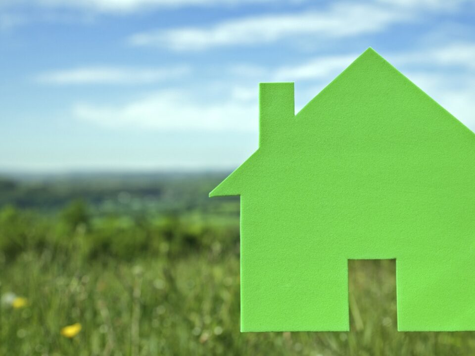 Proiecte de case la țară