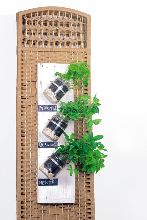 Suport cu plante aromatice