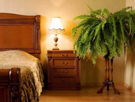 Cum integrezi plantele in decorul din casa