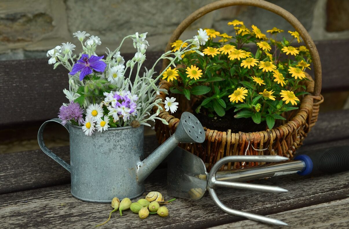 Septembrie in gradina. Activitati ideale de facut in prima luna de toamna