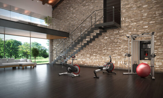Fitness la domiciliu (II)