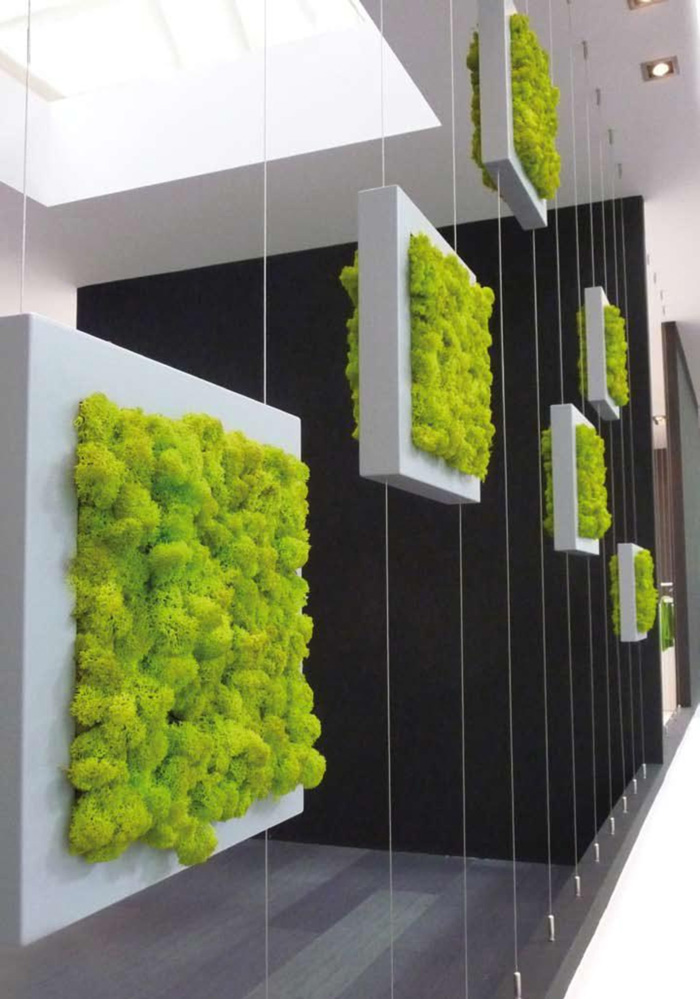 Pereti cu plante