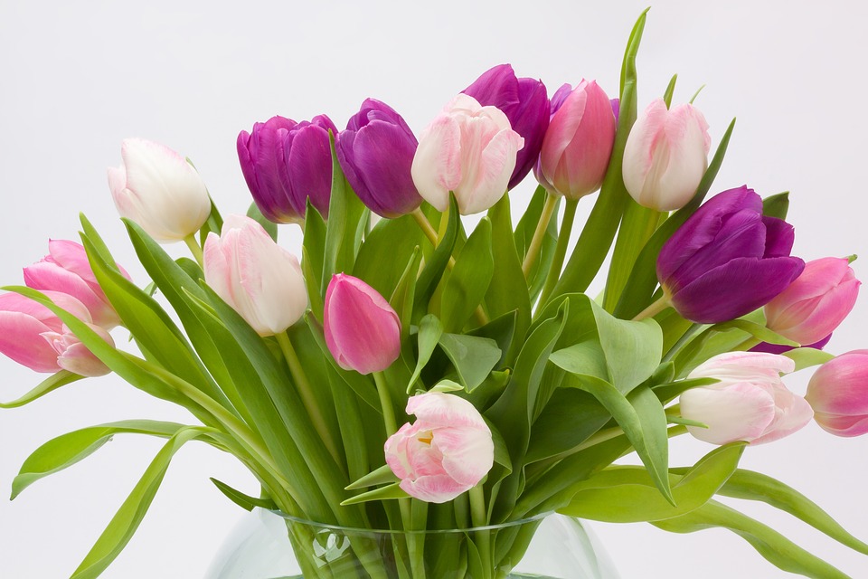 Trucuri simple care prelungesc viata florilor din vaze