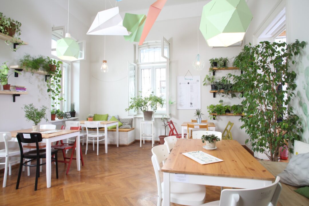 Intreprinderi sociale: Bistro Therapy