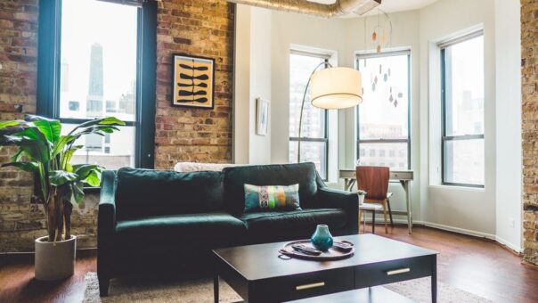 Plantele de interior absorb chimicalele din aerul din casa