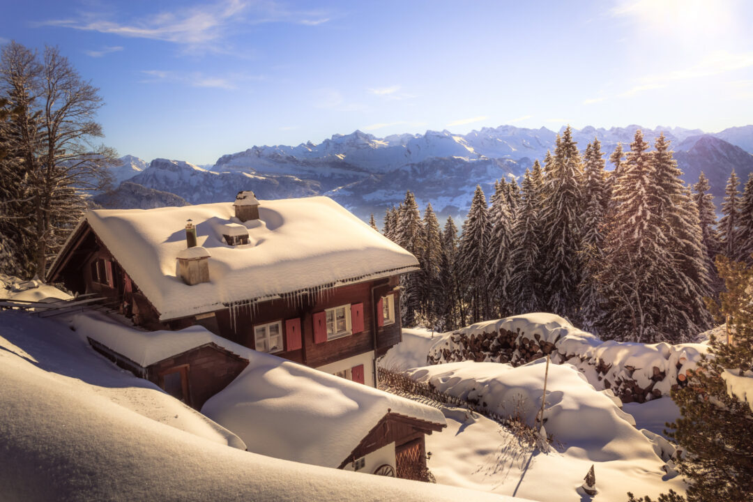 4 lucruri indispensabile într-o gospodărie iarna asta. Câte ai deja?