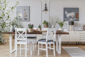 plante casa decor natural