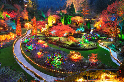 5 trucuri inspiraționale pentru a-ți decora grădina cu ajutorul luminilor