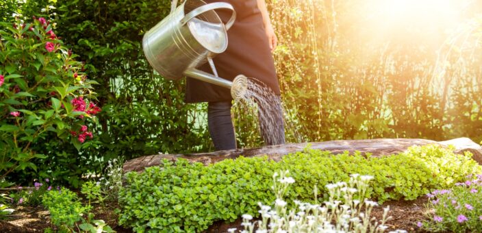 Scurt ghid pentru udatul corect al florilor vara – 11 sfaturi utile