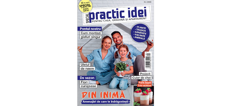 A apărut Practic Idei Special, ediția de februarie 2020