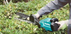 Makita