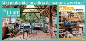 casa si gradina