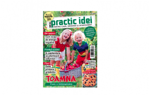 Practic Idei