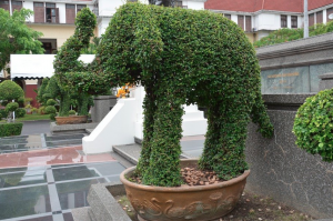 topiary