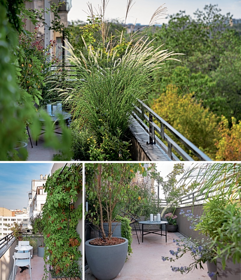 balcon plante