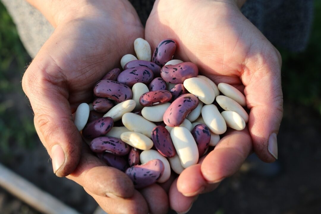Aceste alimente atrag dăunătorii în cămară. Iată cum le depozitezi corect