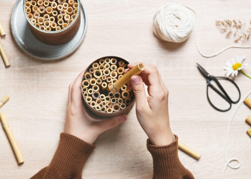 Reciclarea cutiilor de conserve: 10 idei de reutilizare creativă