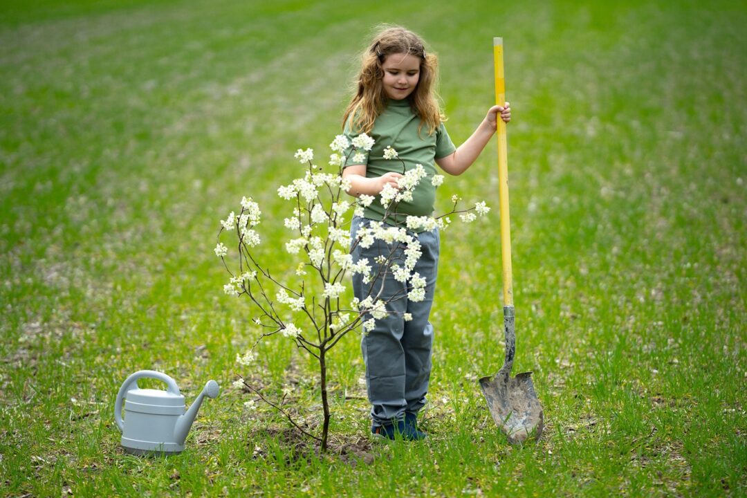 Proiecte de grădinărit pentru cei mici: iată cum pot învață despre plante