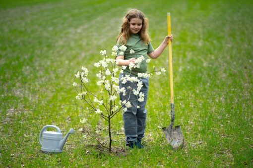 Proiecte de grădinărit pentru cei mici: iată cum pot învață despre plante