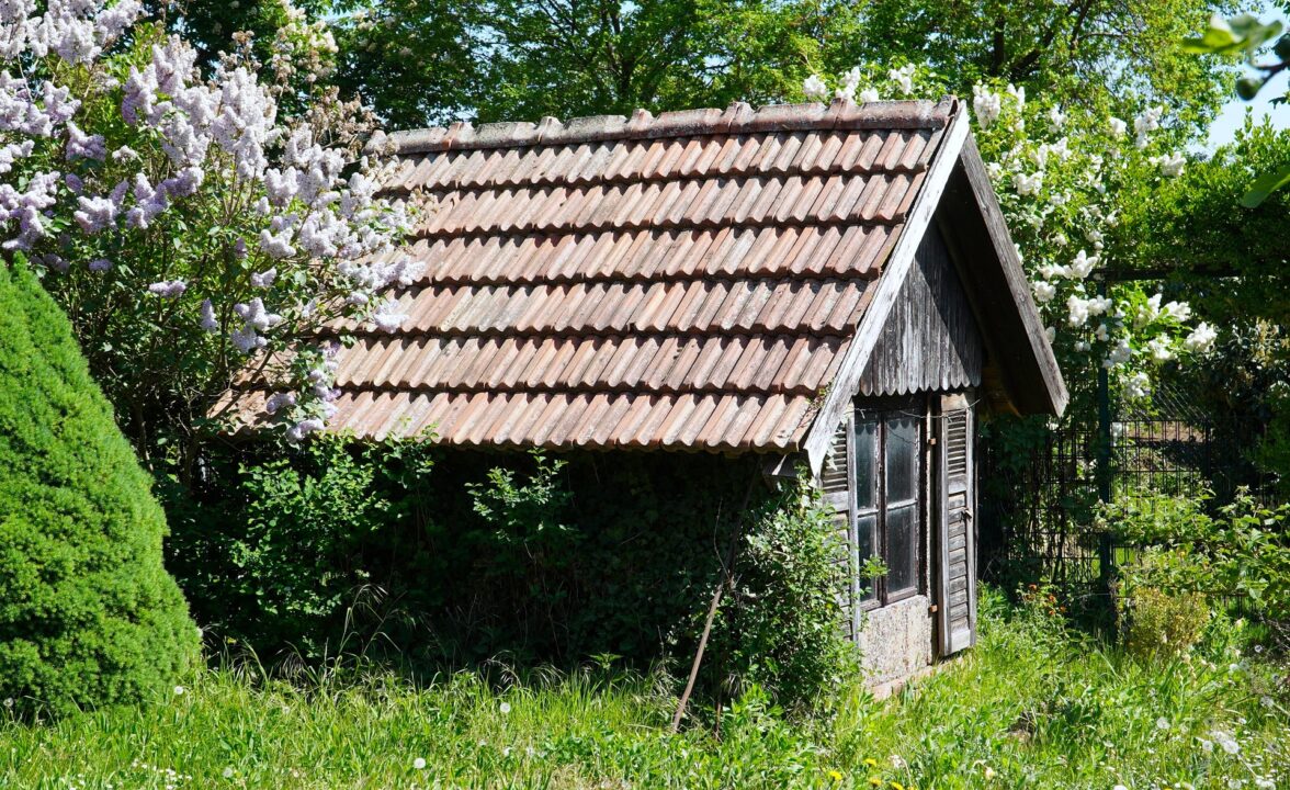 6 lucruri pe care să nu le păstrezi în căsuța de scule din grădină