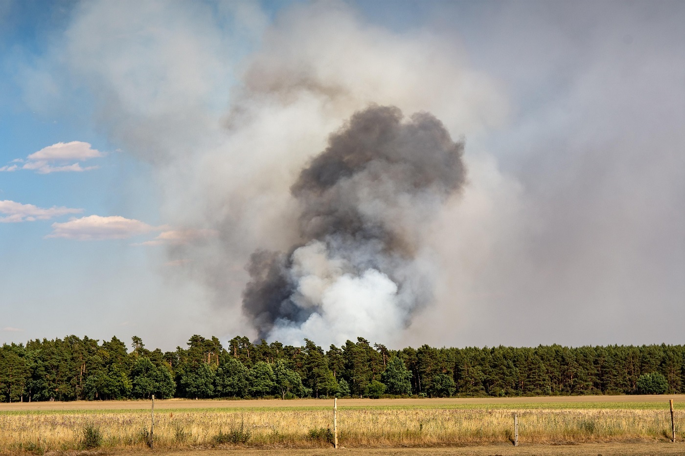 Vara cu risc de incendiu