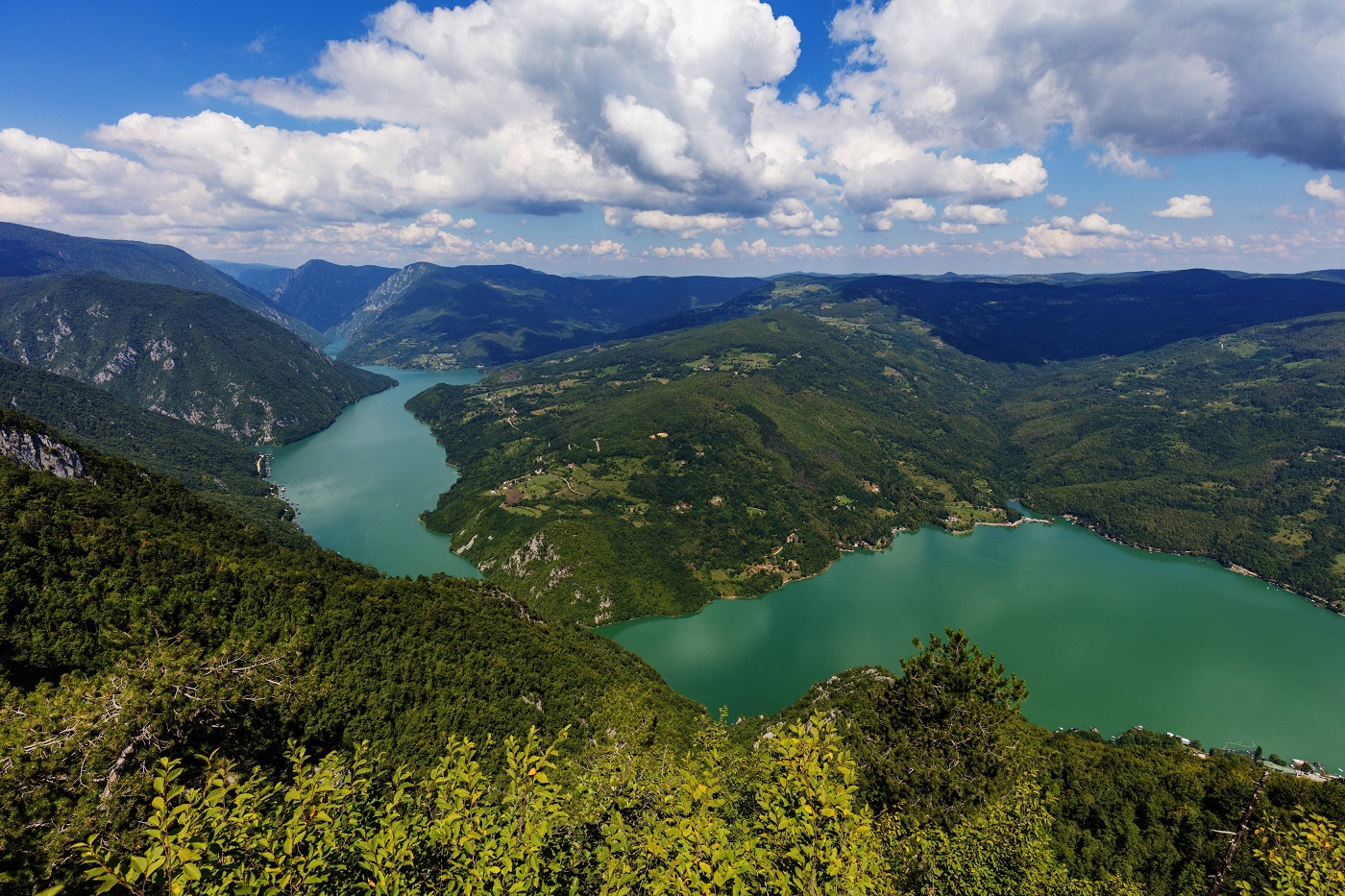 munții Tara și Zlatibor