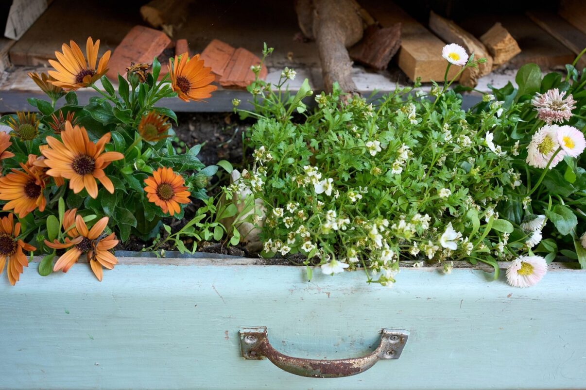 Când sertarele ajung în grădină: idei de decor floral cu mobila veche