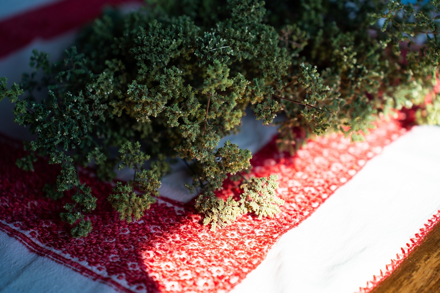 Ierburi aromatice din grădină