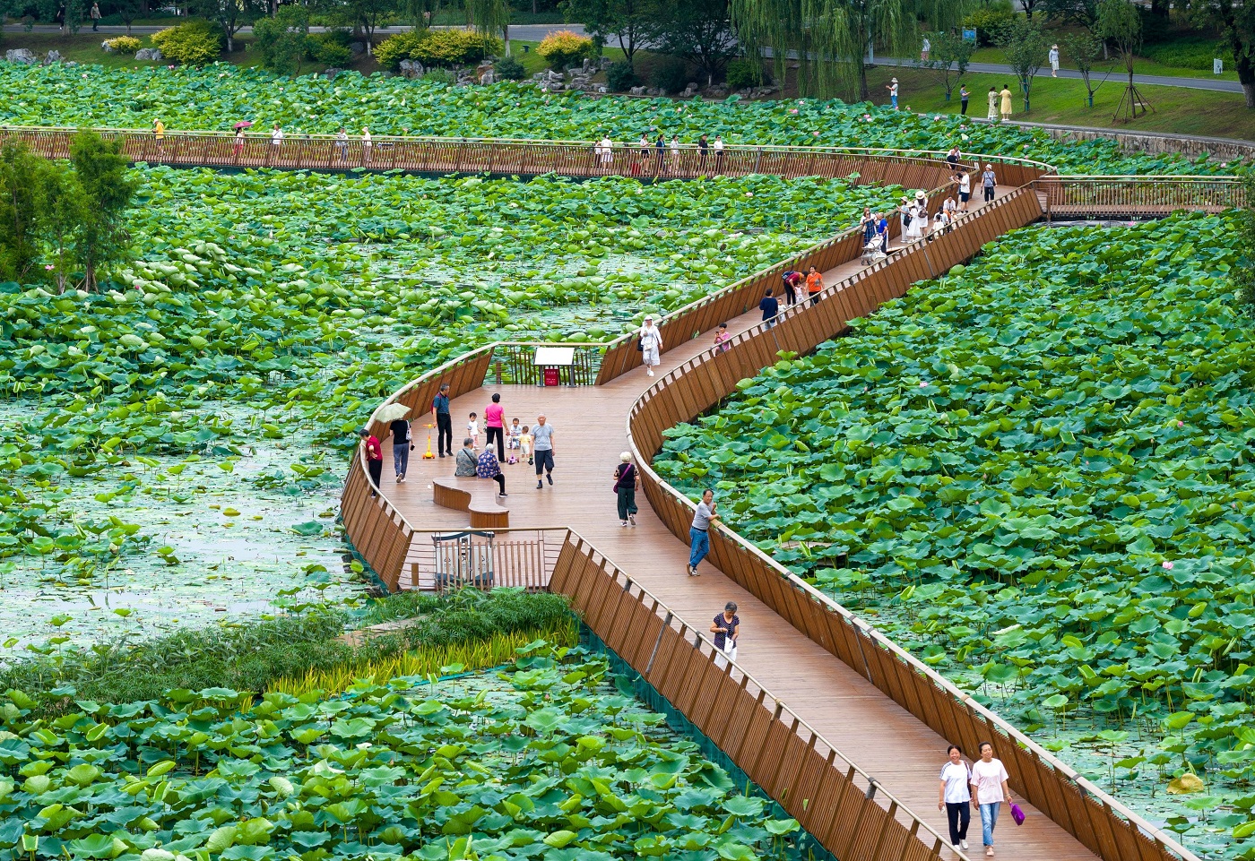 lacul Nanjing din China