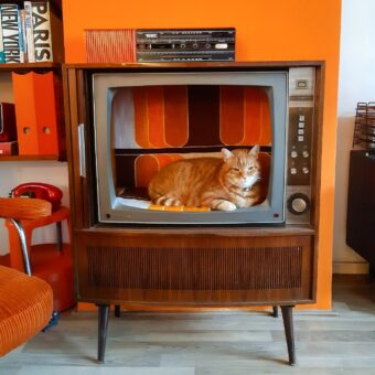 Nostalgia anilor 70, într-un apartament decorat integral pentru a-i evoca