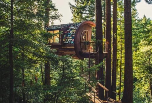 Când transformi în acoperiș 500 de farfurii vechi din tablă